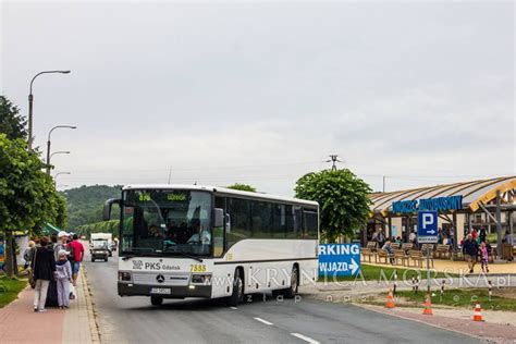 Bus Elbląg Krynica Morska: Rozkład jazdy PKS